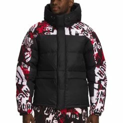 The North Face Mens Printed HMLYN Down Parka