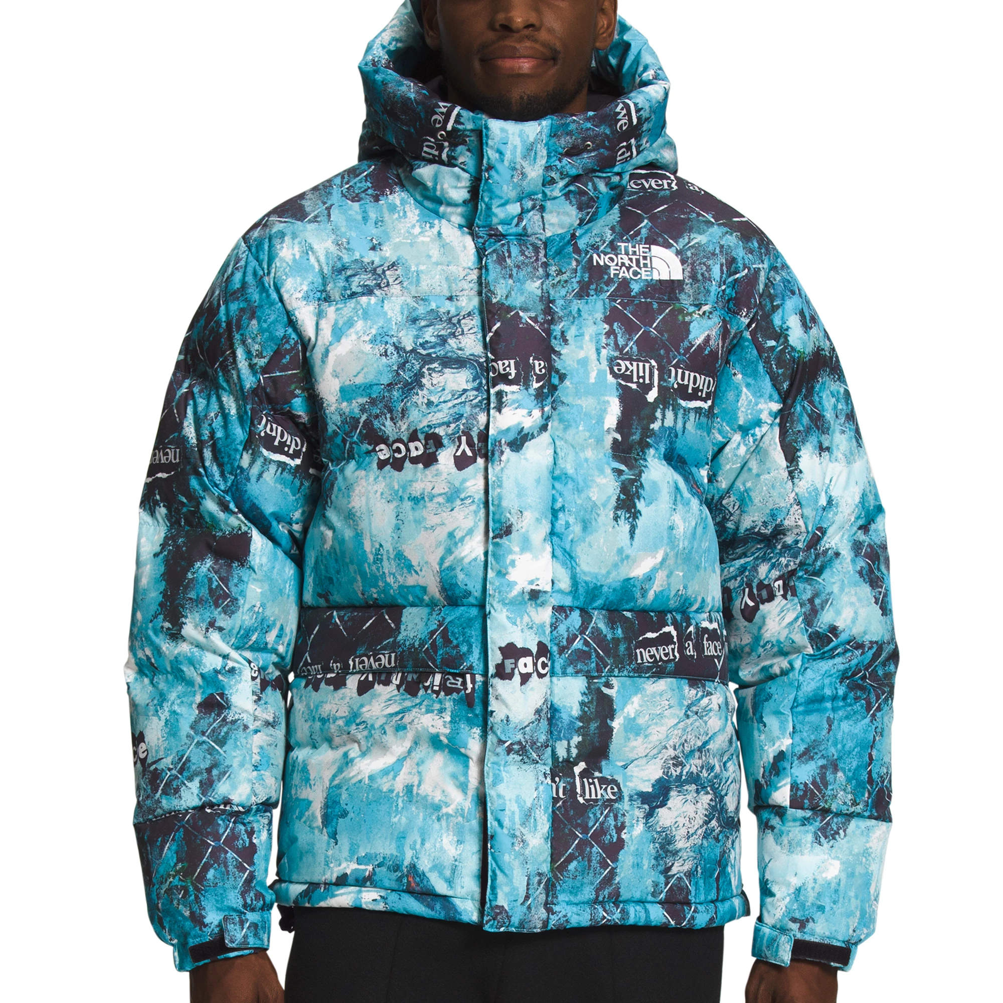 The North Face Mens Printed HMLYN Down Parka 3 The North Face Mens Printed HMLYN Down Parka - Image 3
