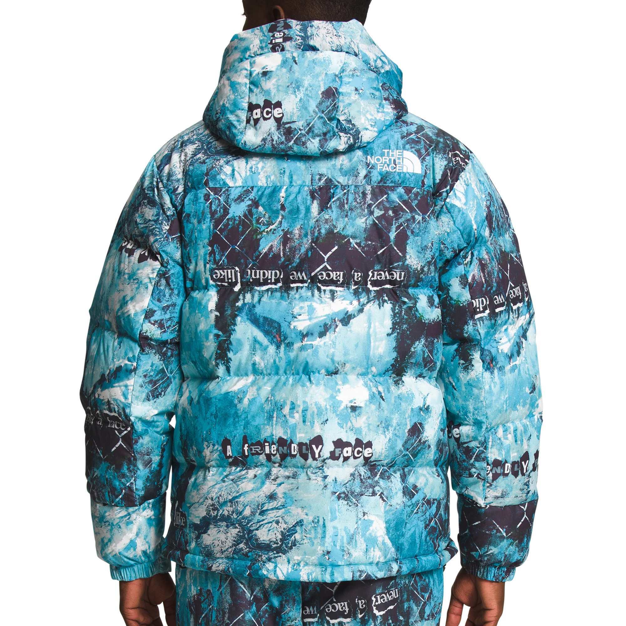 The North Face Mens Printed HMLYN Down Parka 6 The North Face Mens Printed HMLYN Down Parka - Image 6
