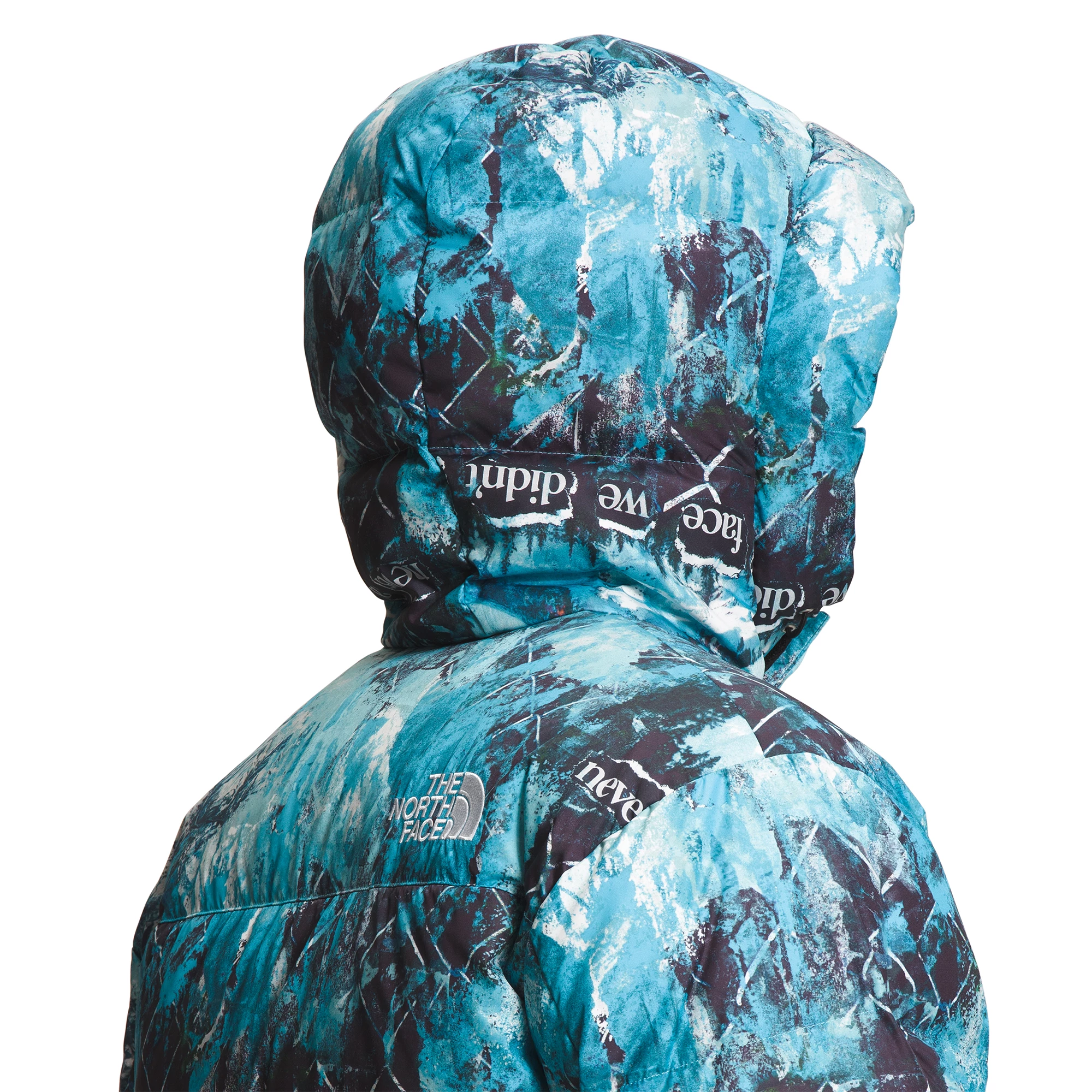 The North Face Mens Printed HMLYN Down Parka 8 The North Face Mens Printed HMLYN Down Parka - Image 8