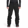 The North Face Mens Freedom Insulated Pants