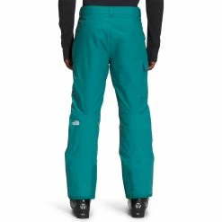 The North Face Mens Freedom Insulated Pants 17 The North Face Mens Freedom Insulated Pants -686 shop unnamed file 4722