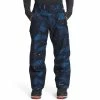 The North Face Mens Seymore Pants