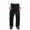 DC Shoes Men's Division Snow Pants