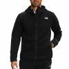 The North Face Mens Alpine Polartec® 200 Full-Zip Hooded Jacket